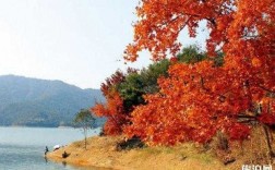 惠州秋天景点有哪些景区（惠州有秋天吗）