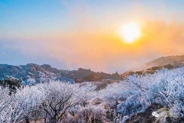 山东必去的十大景点冬季景区（山东冬季旅游景点排名前十）